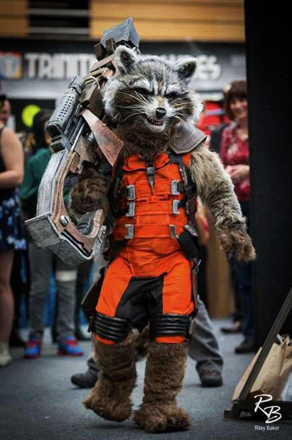 Rocket Raccoon By Warren Goodwin